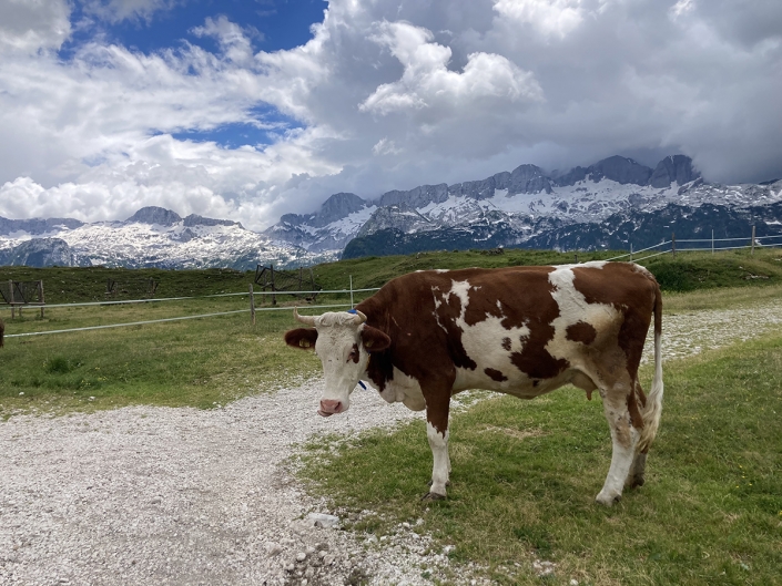 Altopiano del Montasio