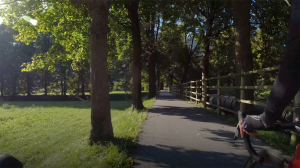 Dettaglio ciclabile.