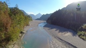 Ponte sul tagliamento
