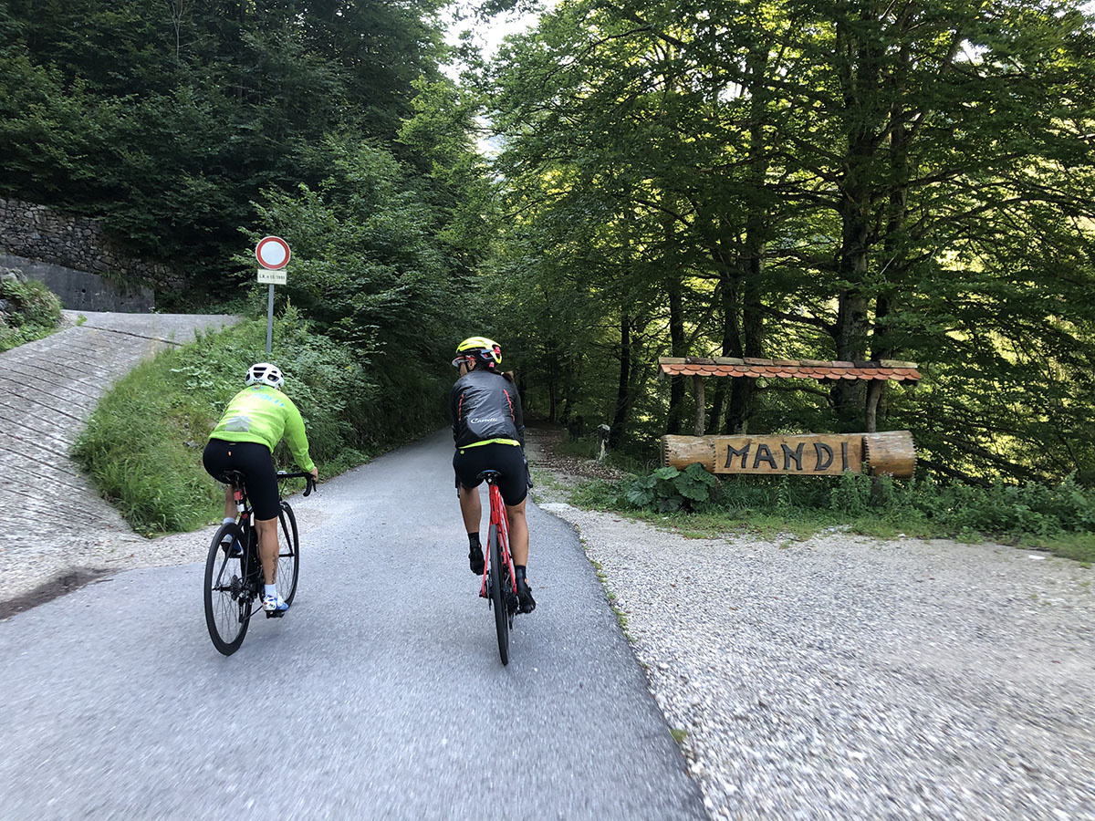 Ci si immerge nel bosco